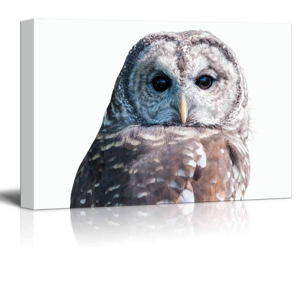 Premium Owl Canvas Wall Art - 32