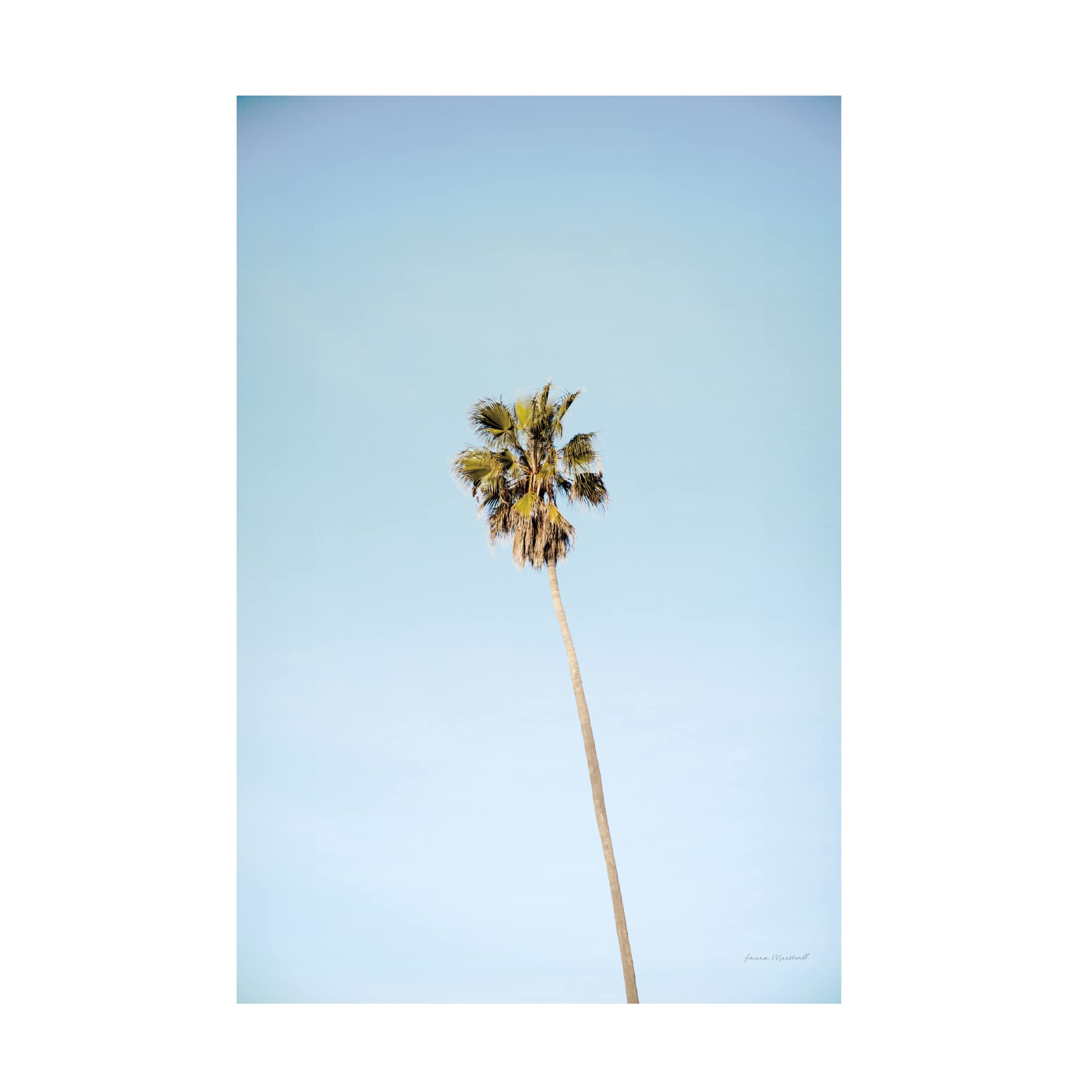 Laura Marshall 'Summer III' Canvas Wall Art - Handmade Floral Landscape Painting for Living Room, Bedroom & Office Decor | Trademark Fine Art