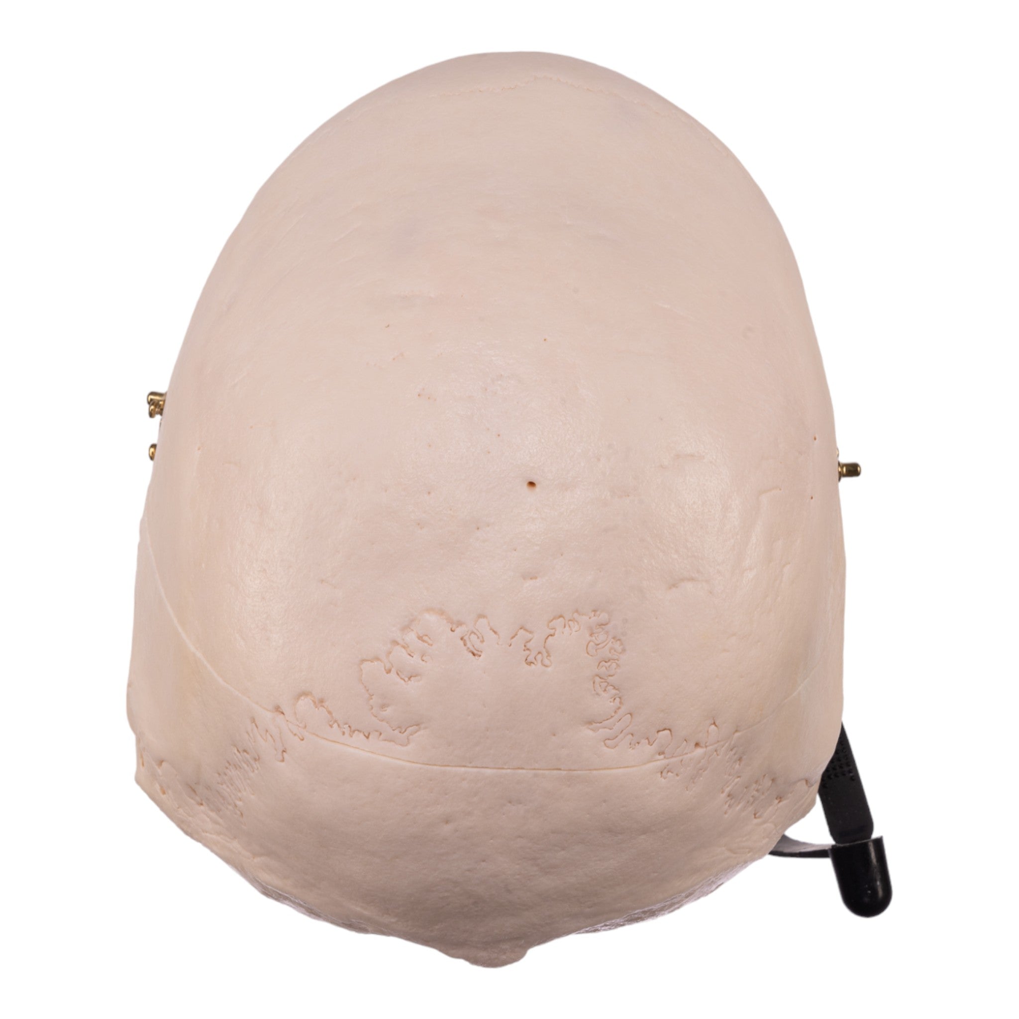 Premium Anatomical Human Skull Model - Accurate Medical & Educational Tool for Students, Doctors & Halloween Decor - Perfect for Classrooms, Labs & Spooky Home Decor