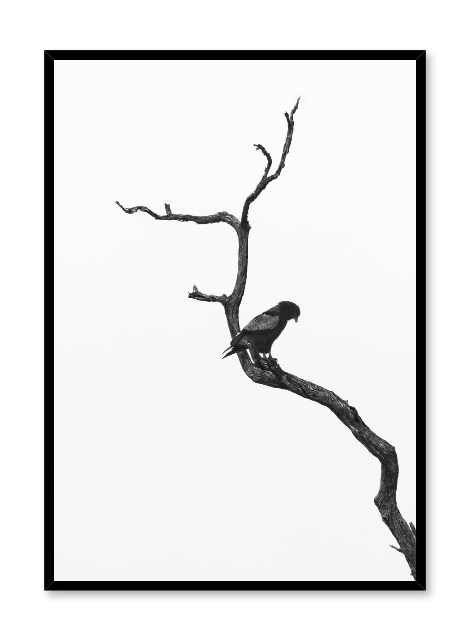 Perched Poster - Premium Quality Wall Art Decor for Home & Office - Perfect for Living Room, Bedroom, and Workspace