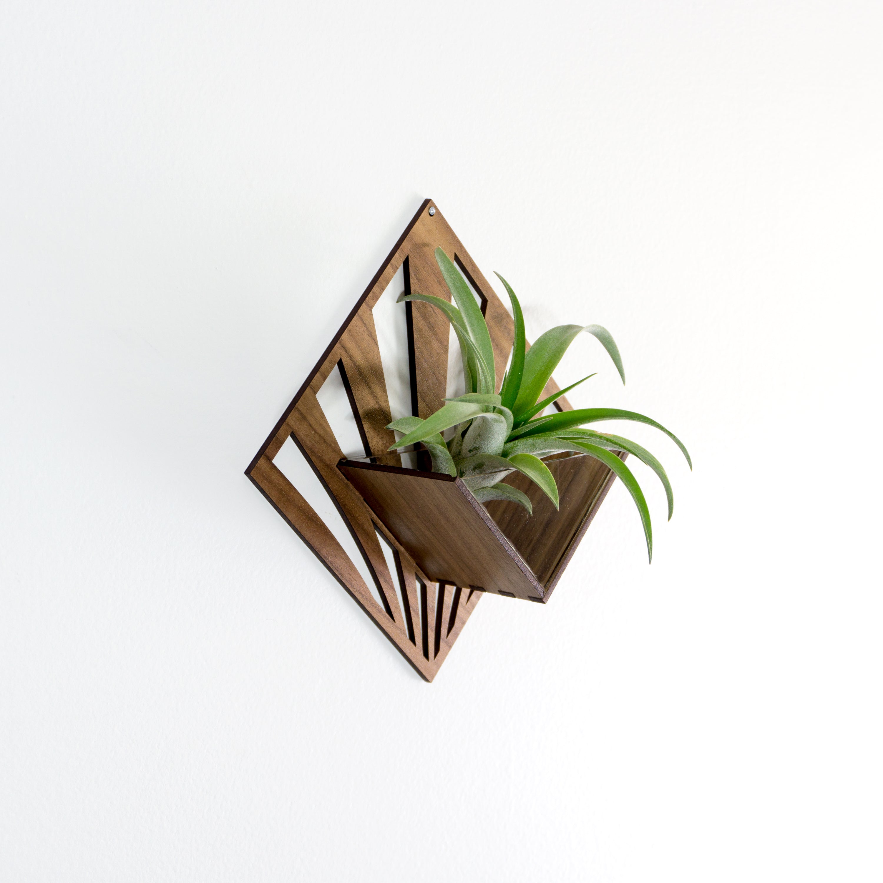 Handmade Wooden Quadrate Wall Planter Set of 2 - Air Plant Holder & Mounted Hanger Display for Tillandsia | Rustic Home Decor, Unique Plant Lover Gift Idea for Living Room, Bedroom or Office Decor