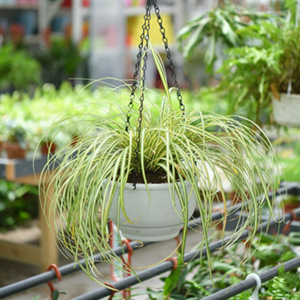 YARNOW 2-Pack Hanging Planters for Outdoor & Indoor Use - White Plastic Round Flower Pots with Hooks for Balcony, Garden, and Home Decoration - Perfect for Herbs, Succulents, and Small Plants