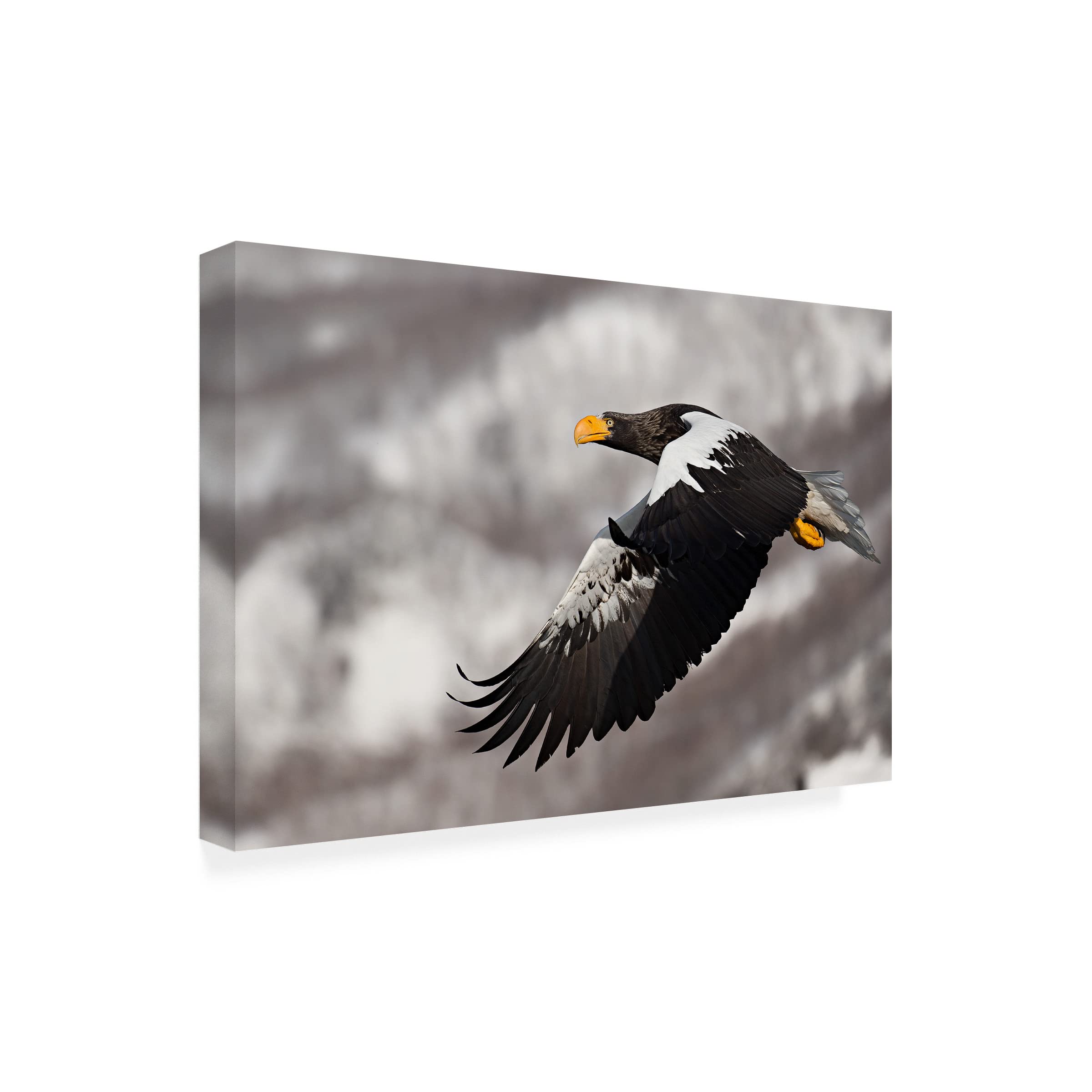 Trademark Fine Art 'Stellar's Sea Eagle' Canvas Wall Art Print by C.S. Tjandra - Majestic Wildlife Decor for Living Room, Office & Bedroom