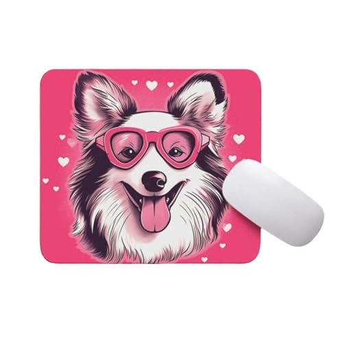 Shetland Sheepdog