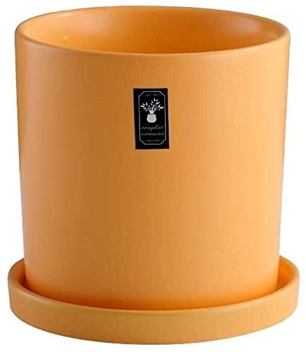 Yellow Ceramic Flower Pot with Tray - Simple Round Planter for Succulents, Home & Office Decor, Living Room Plant Display, Micro Landscape Accessory (Color: Large) - Perfect for Desk Decor, Housewarming Gifts & Indoor Gardening