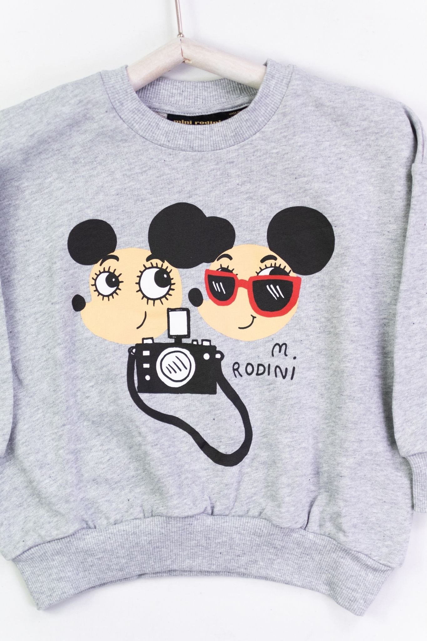 Grey Ritzratz Sweatshirt for Toddler & Little Boy - Soft Cotton Pullover Hoodie for Kids, Playdates & Outdoor Activities