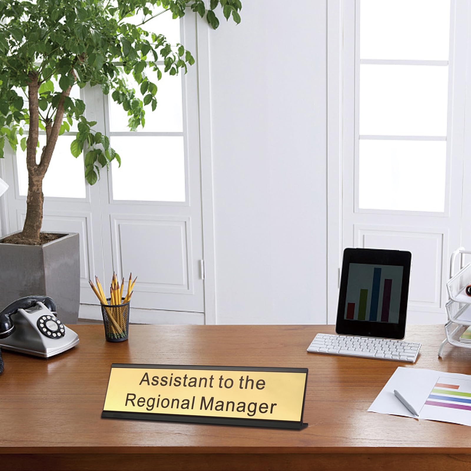 Assistant to The Regional Manager Desk Plate - 2 x 8 Inch Gold Name Plate with Black Aluminum Holder - Office Desk Name Sign for Managers, The Office TV Show Fans & Work Humor Gifts