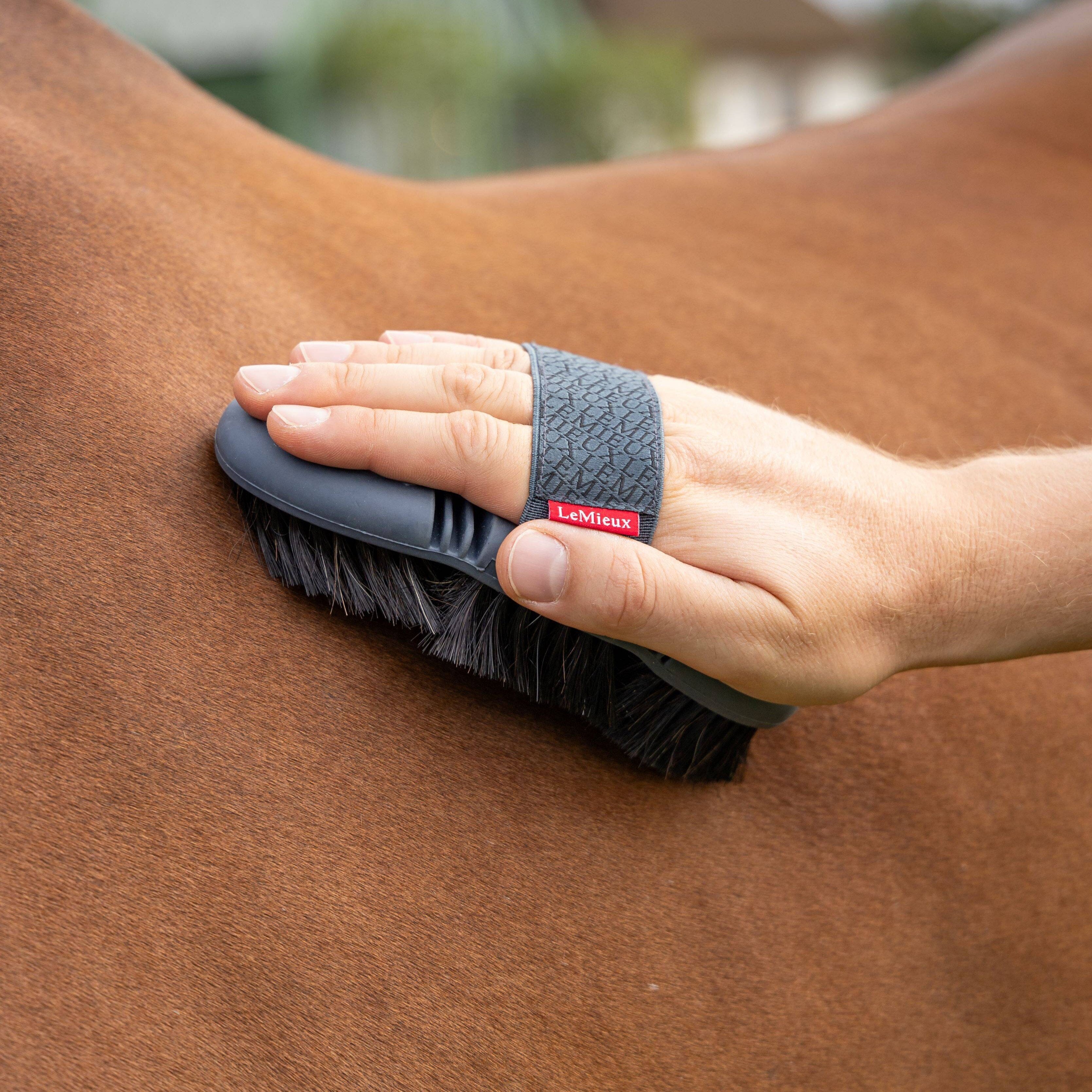 LeMieux Flexi Horse Hair Body Brush for Grooming - Soft Bristles for Shine & Detangling - Perfect for Horses, Ponies & Pets - Ideal for Show Prep & Daily Care