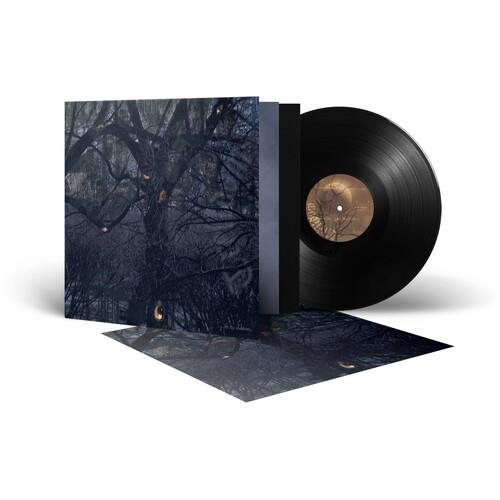 Shadows Vinyl LP - Limited Edition Record for Music Collectors & Audiophiles | Perfect for Home Listening, Gifts & Vinyl Enthusiasts