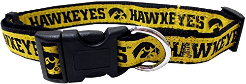 Iowa Hawkeyes