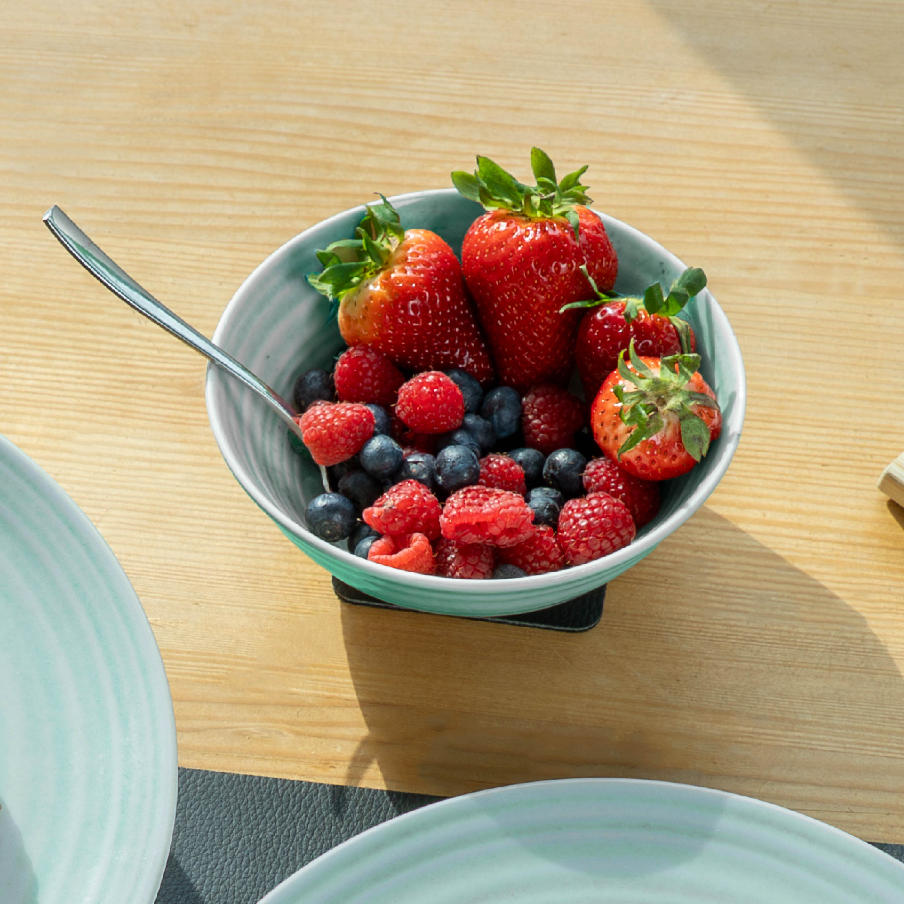 Premium Porcelain Bowls with Magnet Base - 16cm (6.3