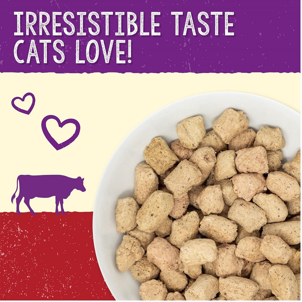Grain Free Freeze Dried Bountiful Beef Dinner Morsels Cat Food - High Protein, Natural Ingredients for Adult & Senior Cats - Perfect for Mealtime, Training Treats & Travel Snacks