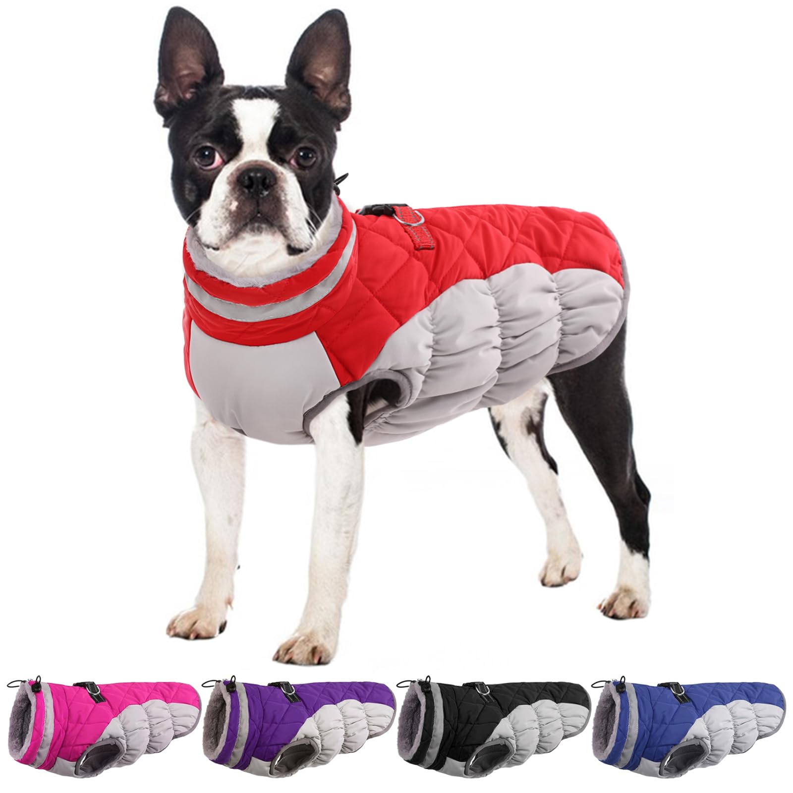 Small Dog Winter Coat - Waterproof & Warm Dog Jacket with Built-in Harness for Shih Tzu, Bichon & Small Breeds - Red Snowsuit for Cold Weather, Outdoor Walks & Winter Adventures