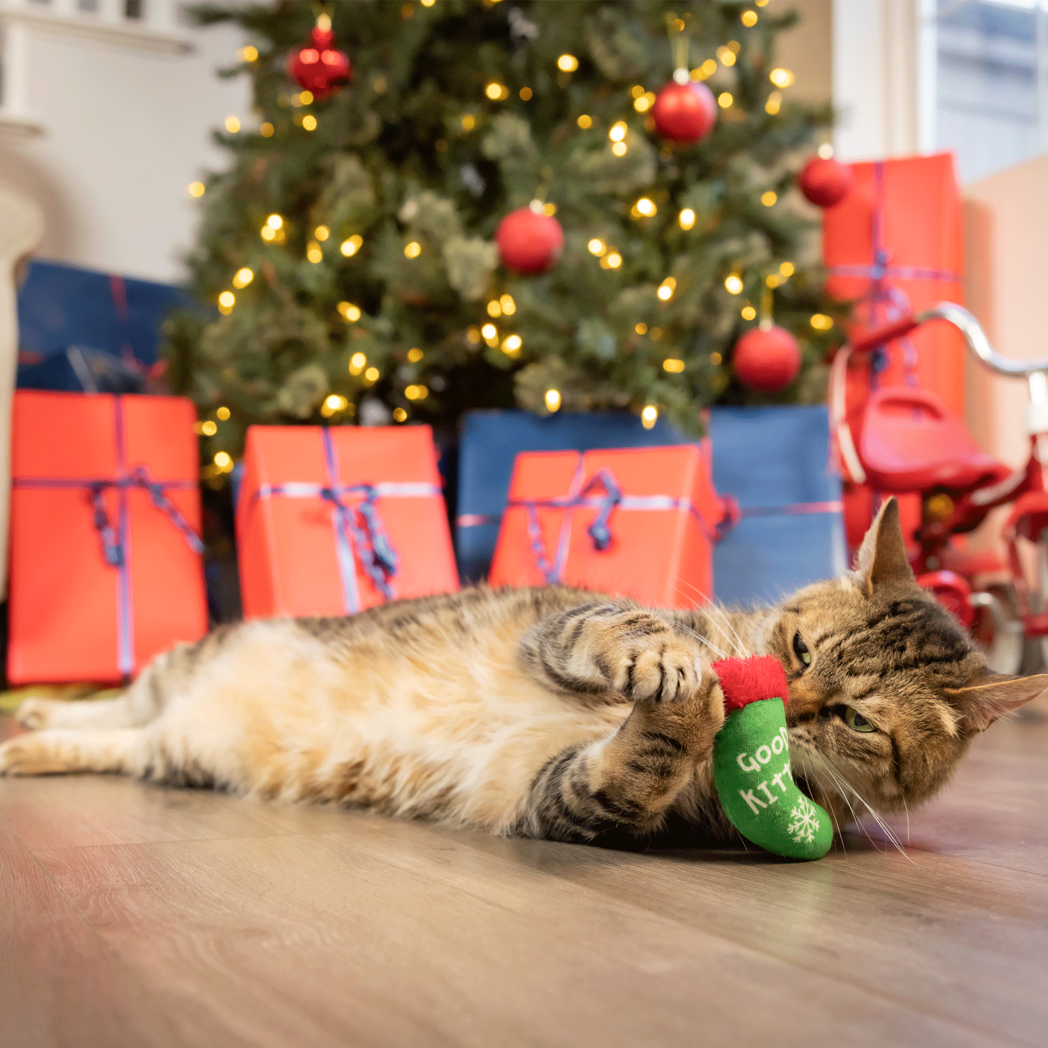 Kittybelles Good Kitty Bad Kitty Cat Stocking Toy - Green Plush Catnip Toy for Playful Kittens | Perfect for Christmas Stockings & Interactive Playtime