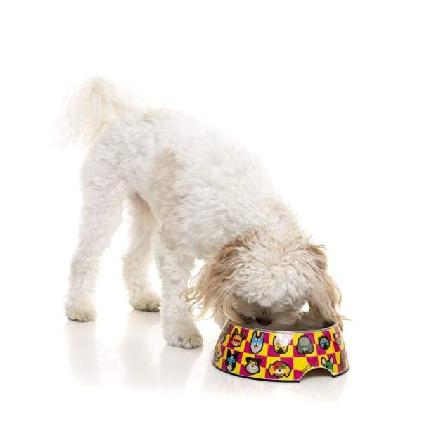 Fuzzyard Doggoforce Easy Feeder Slow Eating Dog Bowl - Non-Slip Pet Food Dish for Small Medium Large Dogs - Perfect for Fast Eaters & Mealtime Training