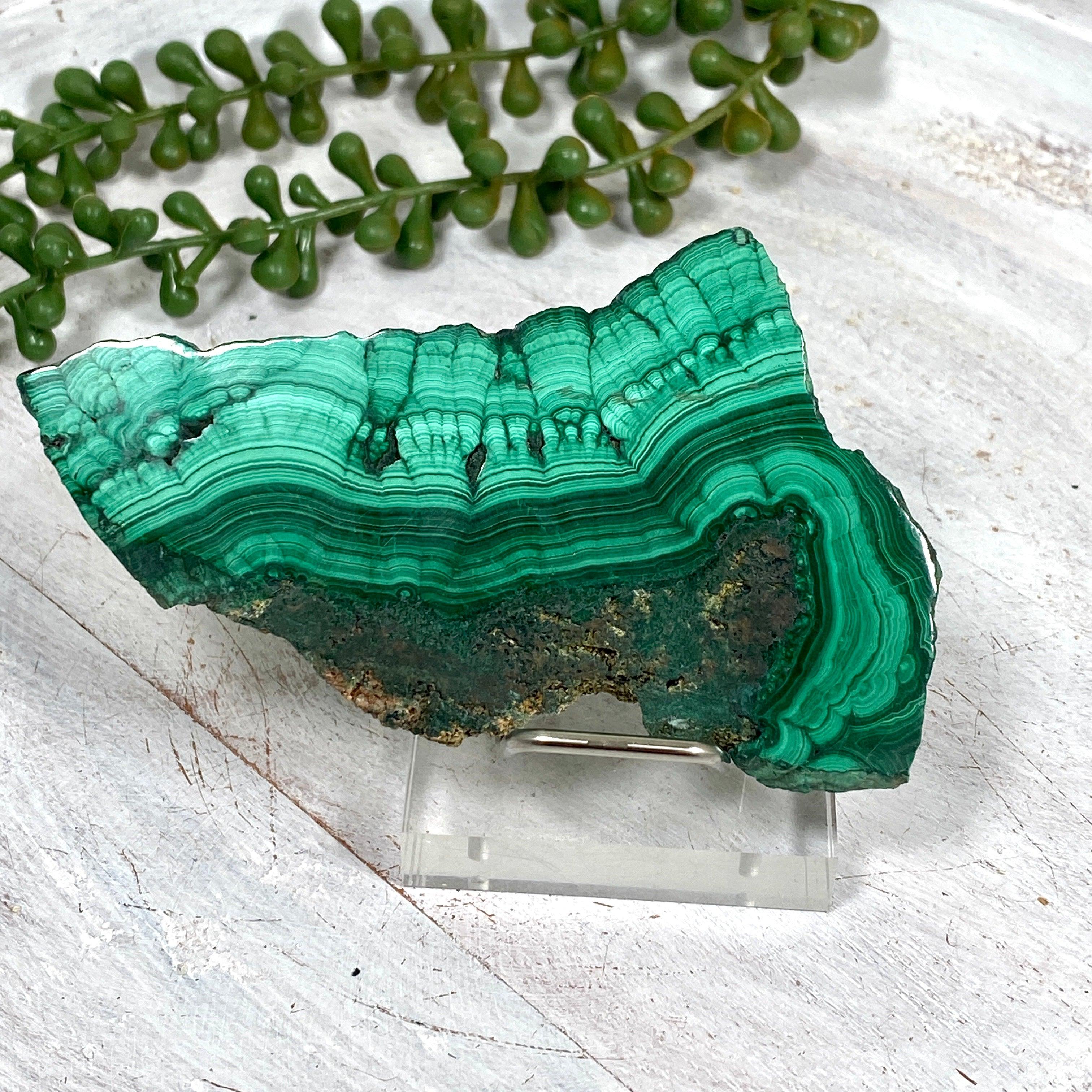 Natural Malachite Slice Stone - CR3427 | Healing Crystal for Home Decor, Jewelry Making & Meditation