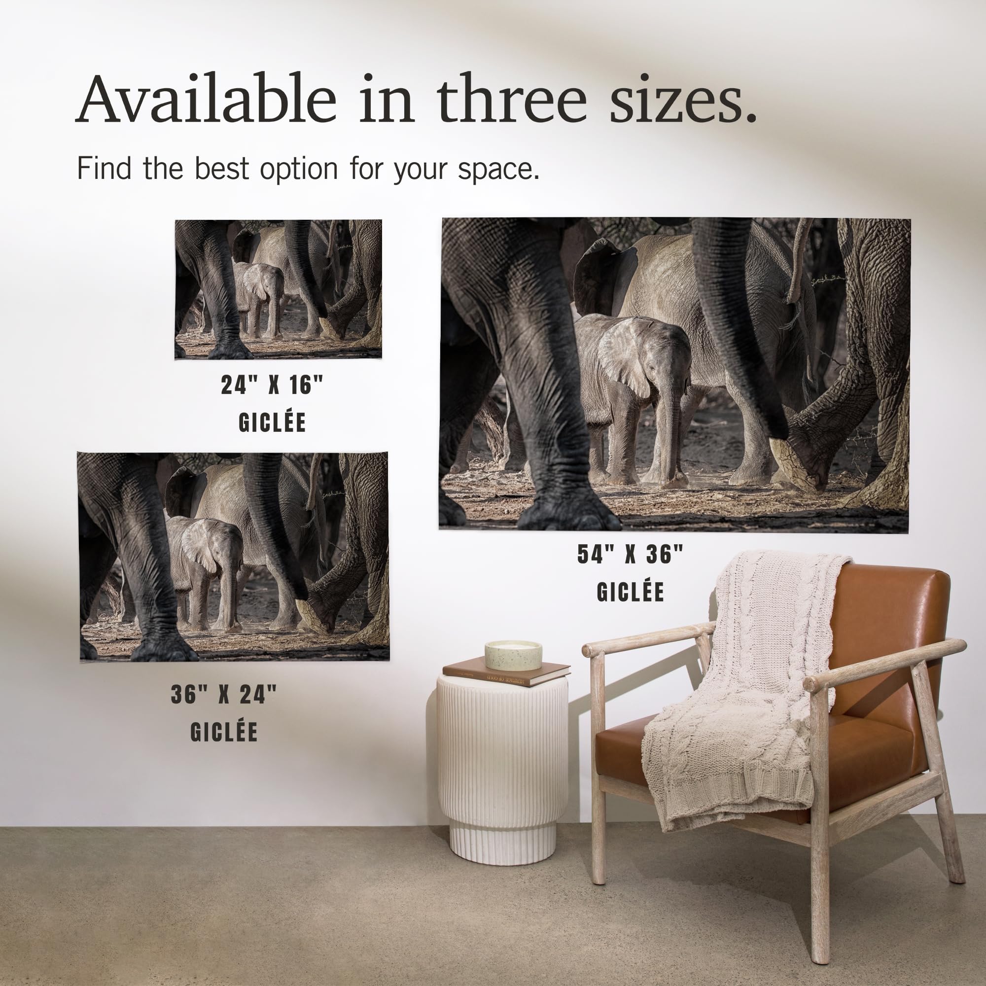 Lantern Press 16x24 Inch African Elephant Family Giclee Art Print - Premium Wall Decor for Living Room, Bedroom & Office