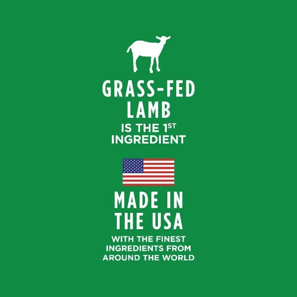 Instinct Healthy Cravings Real Lamb Recipe Grain-Free Wet Dog Food Pouch - High Protein Natural Meal for Adult Dogs - Perfect for Travel, Hiking & On-the-Go Feeding