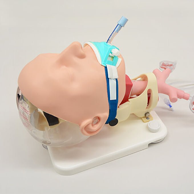 Difficult Airway Management Training Model - High-Fidelity Medical Simulation Manikin for Anesthesia & Emergency Practice - Perfect for Medical Students, Residents, and Healthcare Professionals