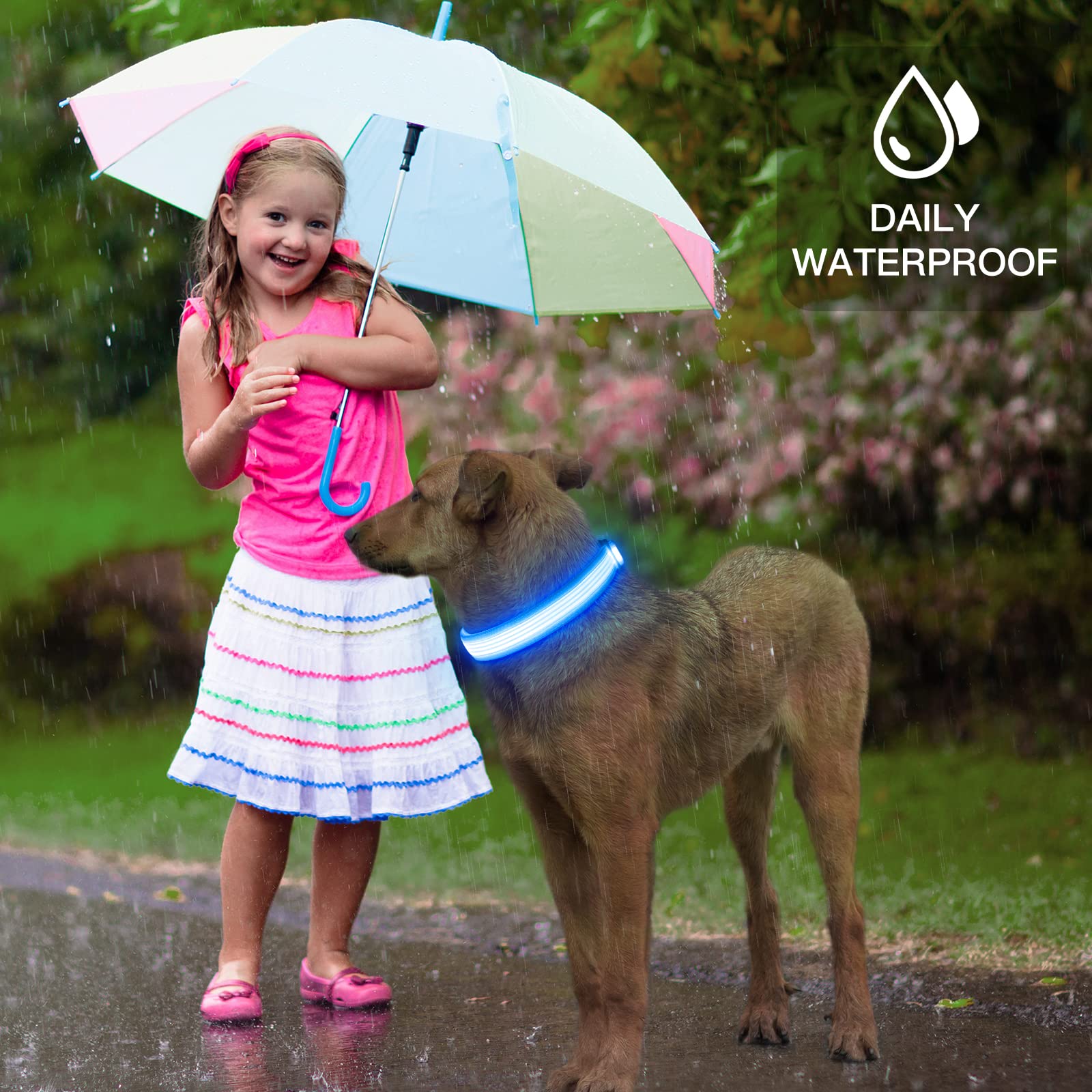 YFbrite USB Rechargeable LED Dog Collar - Super Bright Adjustable Glowing Collar for Night Walking, Safety & Visibility - Blue Small Size | Perfect for Evening Walks, Jogging, and Outdoor Adventures with Your Pet