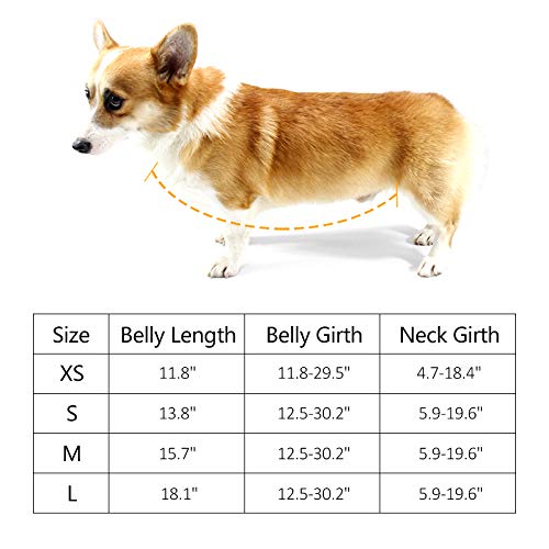 Waterproof Dog Belly Vest - Warm Pet Belly Cover Protector Harness for Small Dogs, Puppies & Corgis - Ideal for Short-Legged Female Dogs in Cold Weather & Outdoor Adventures