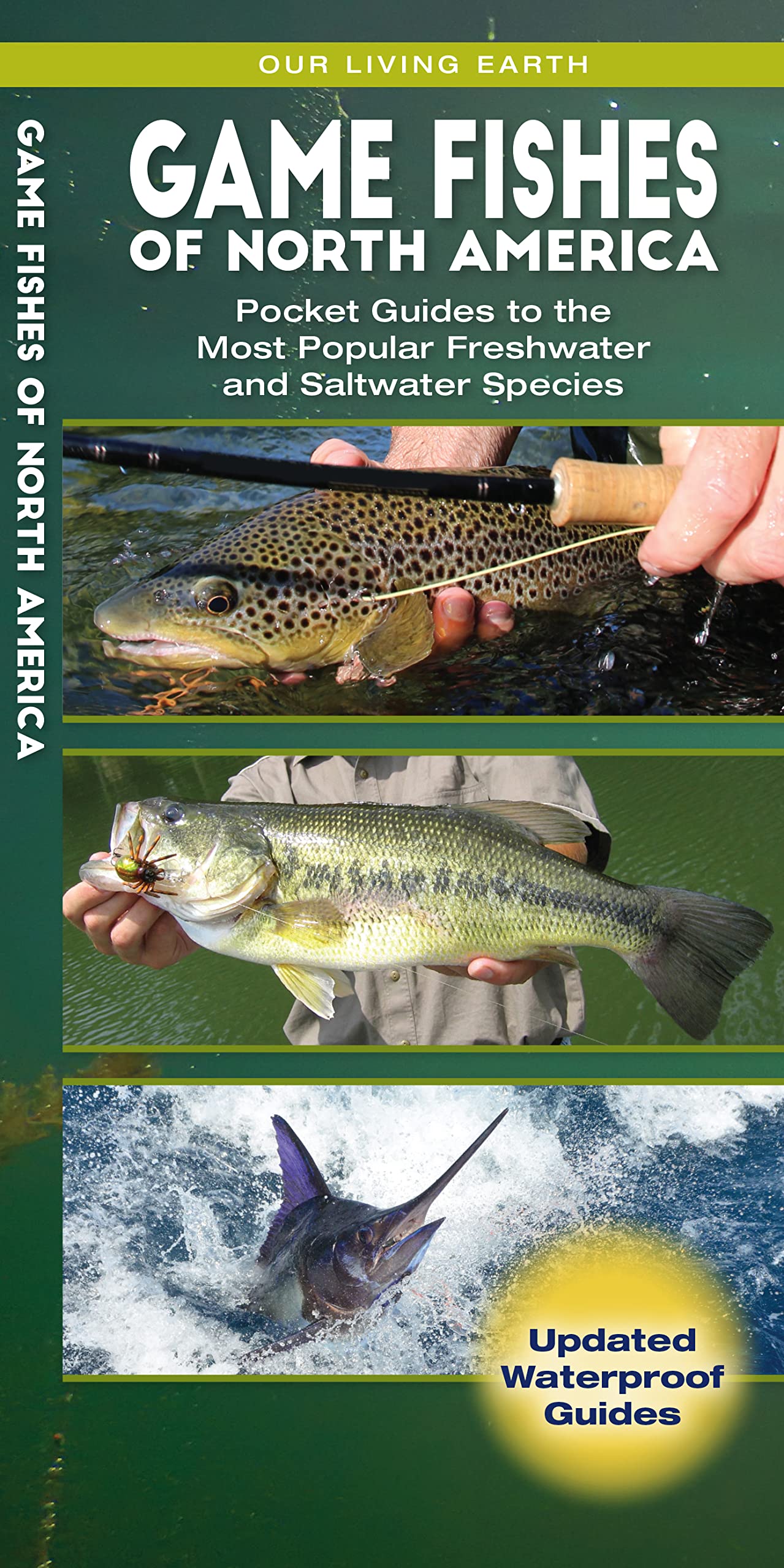 Game Fishes of North America: Pocket Guide to Popular Freshwater & Saltwater Fish Species | Nature Field Guide for Anglers & Outdoor Enthusiasts | Perfect for Fishing Trips & Wildlife Observation