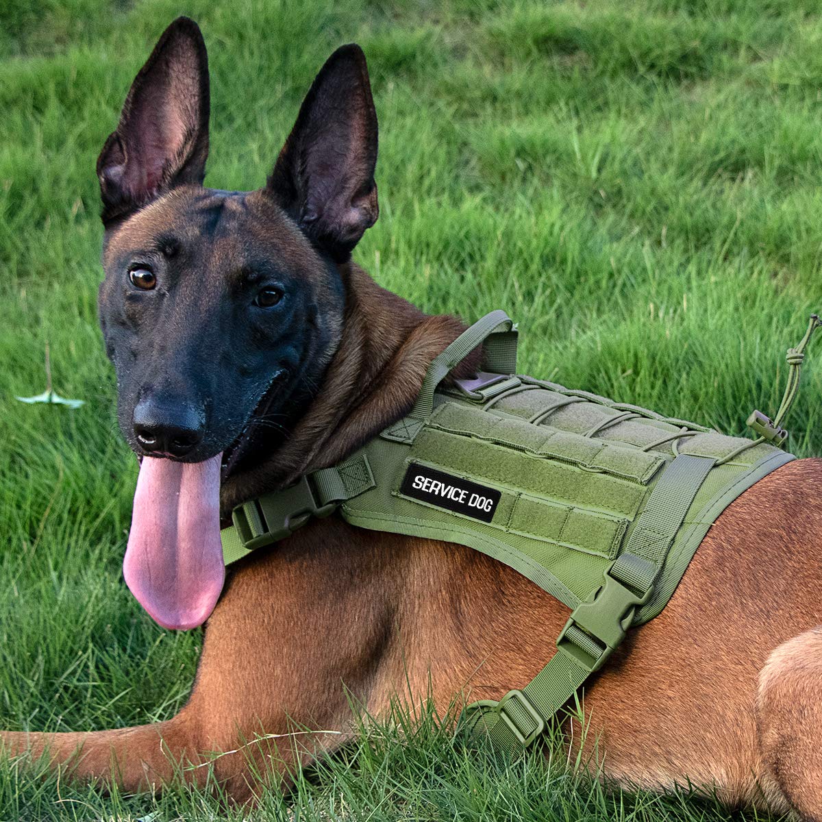Tactical Dog Vest with MOLLE & Handle - Durable Service Dog Harness for Police K9, Patrol & Training | Perfect for Military, Security & Outdoor Adventures
