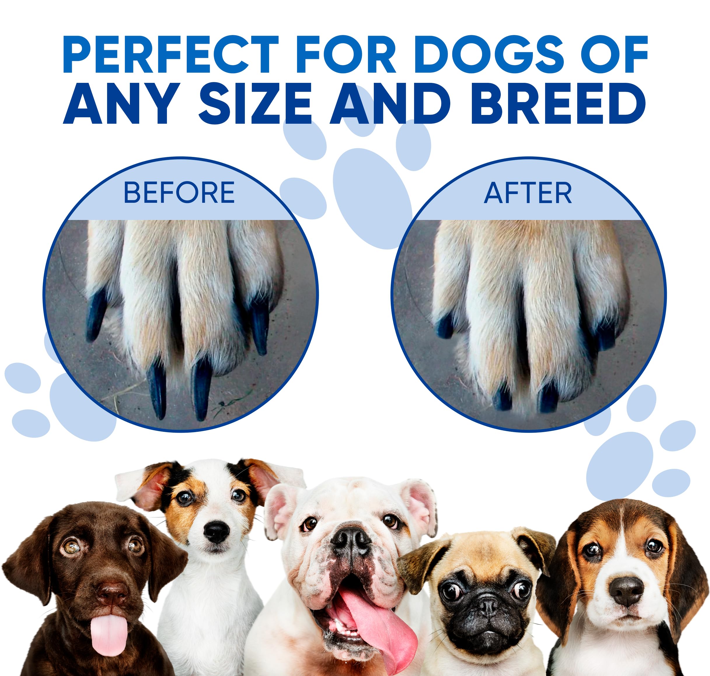 PadPally Dog Nail File Toy - Self-Scratching Board with Treat Box for Small & Large Dogs | Pet Nail Grinder & Scratch Pad for Grooming & Stress Relief - Perfect for Home, Travel & Vet Visits