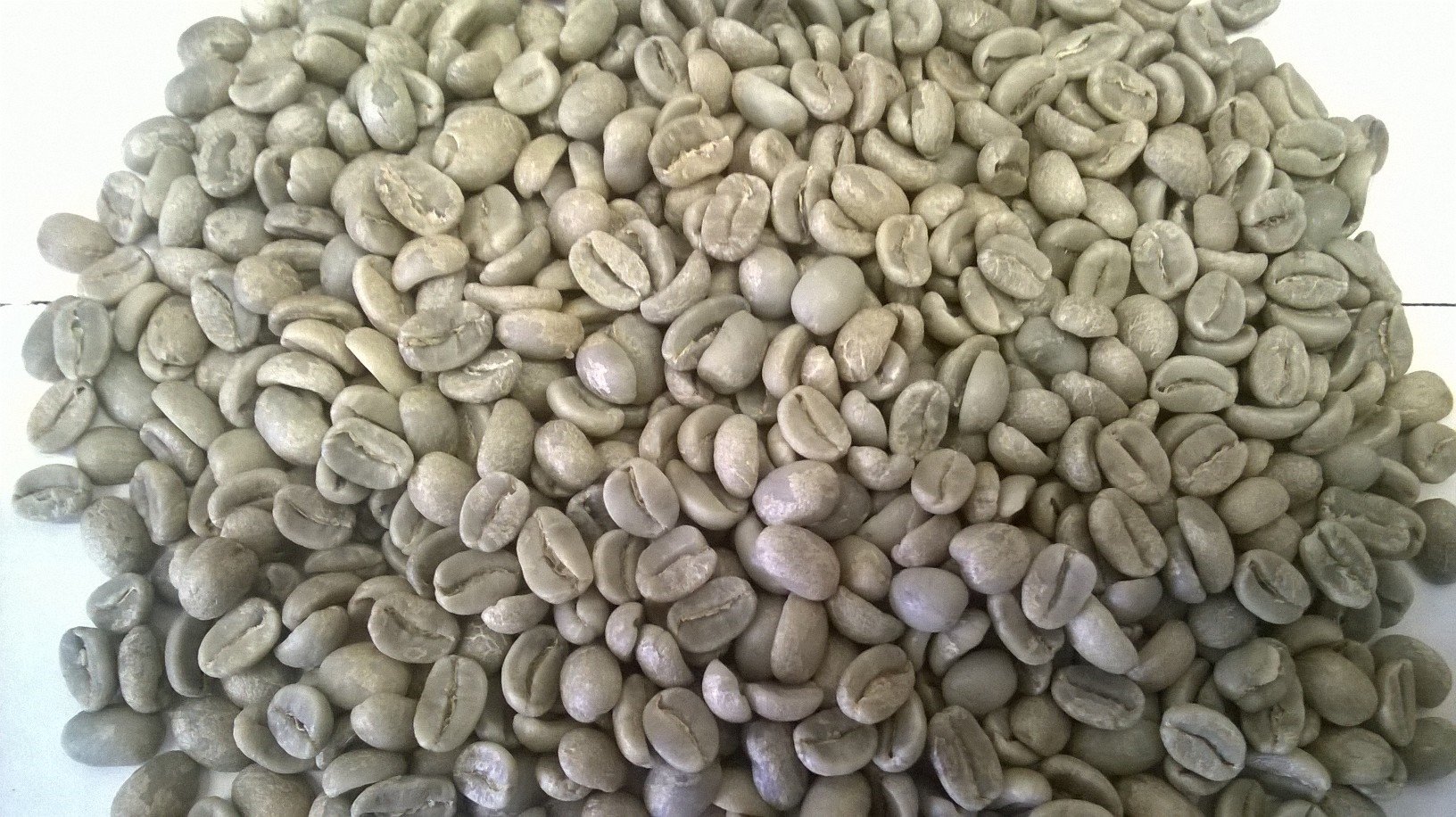 Organic Bolivia Caranavi AAA Green Coffee Beans (22 lbs) - Premium Quality for Home Roasting & Specialty Brewing