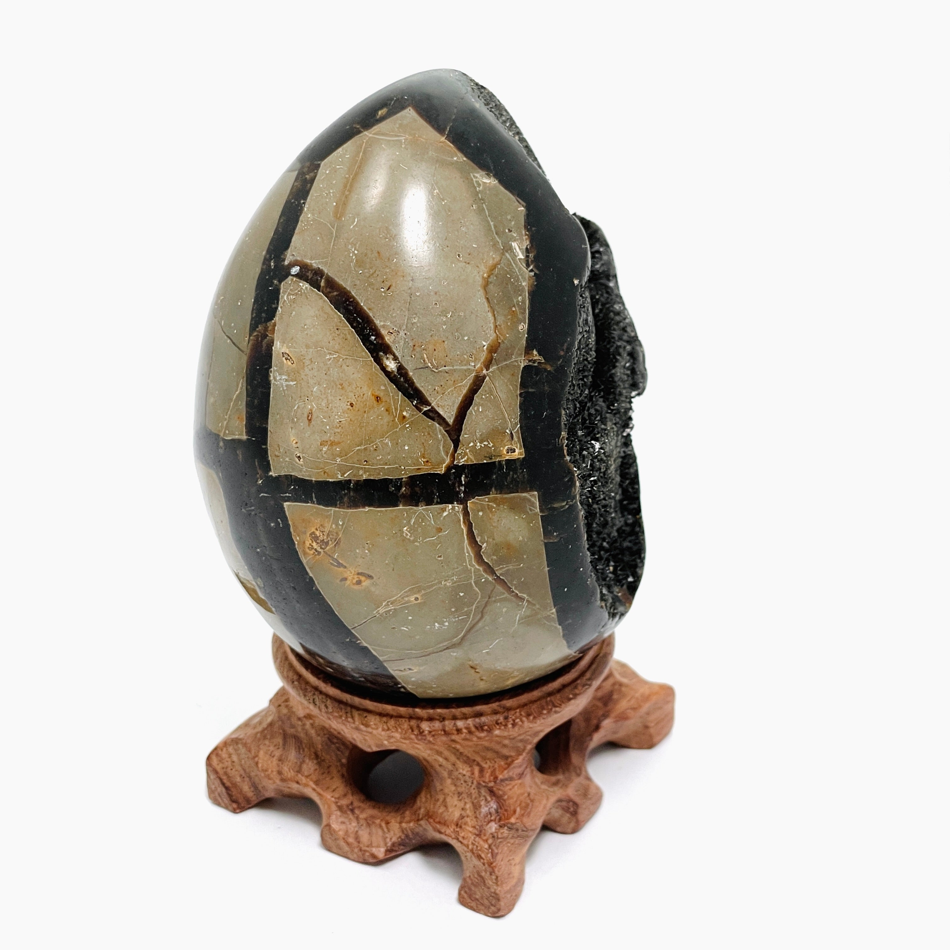 Natural Septarian Egg Stone - Unique Healing Crystal for Meditation, Home Decor & Spiritual Gifts | Perfect for Yoga Spaces, Office Desks & Crystal Collections