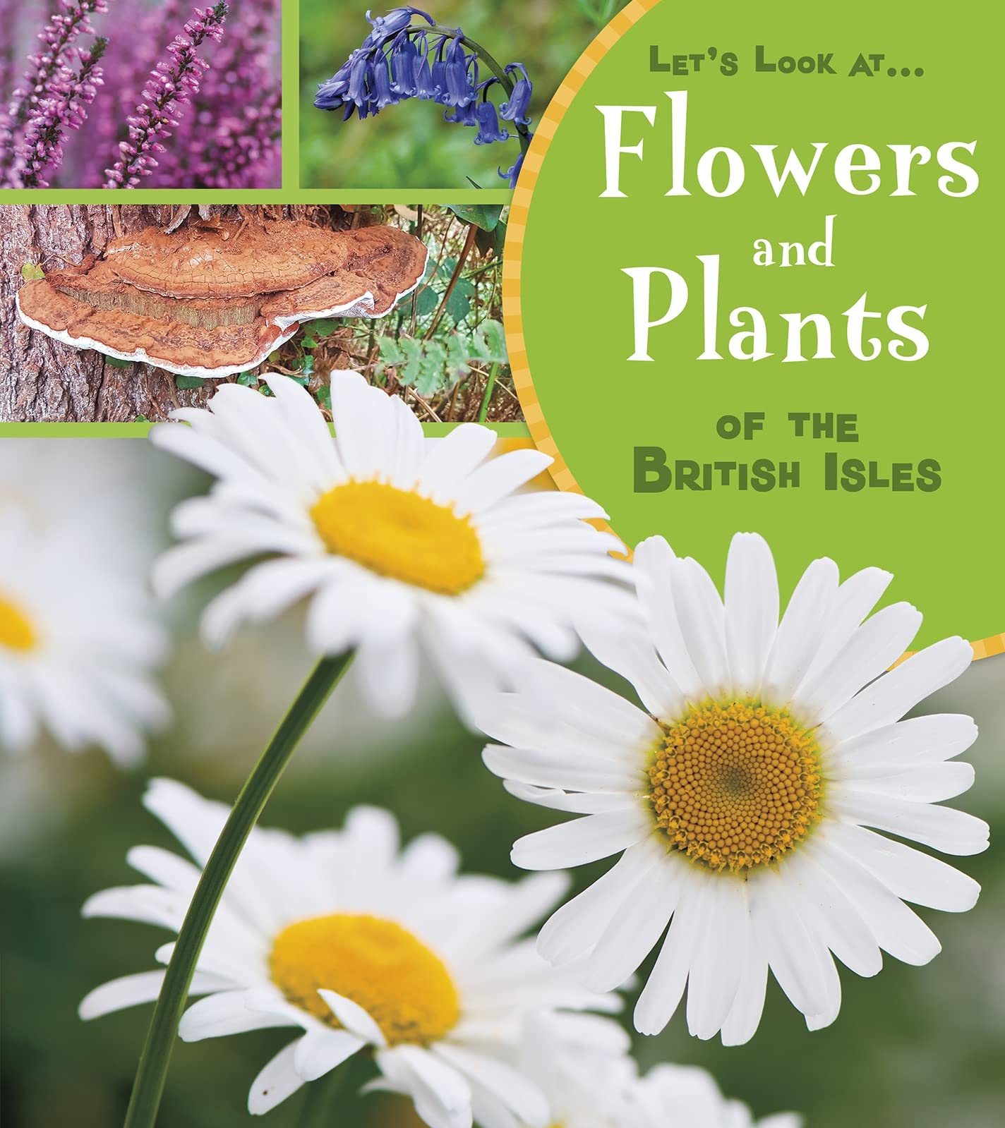 Flowers and Plants of the British Isles - Illustrated Guide for Kids | A+ Books: Let's Look At Series | Perfect for Homeschooling & Nature Exploration
