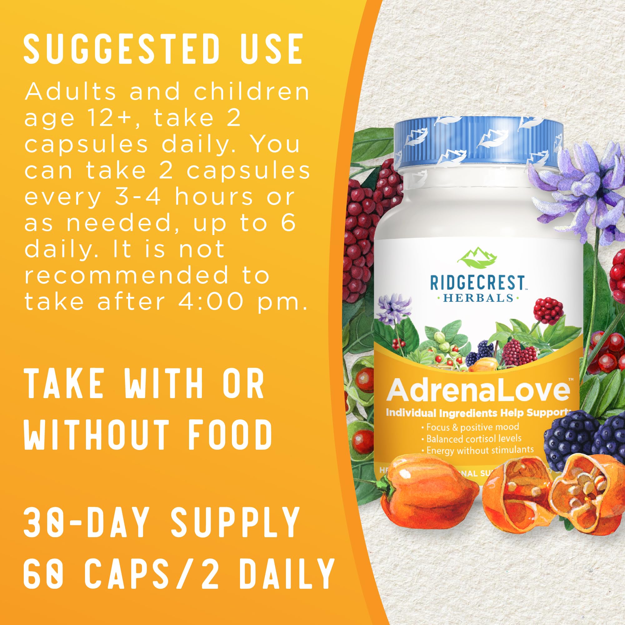 Adrenal Fatigue Supplement with Ashwagandha, L-Theanine & Adaptogens - AdrenaLove by Ridgecrest Herbals (60 Capsules, 30 Servings) for Stress Relief & Energy Support - Perfect for Busy Professionals & Students