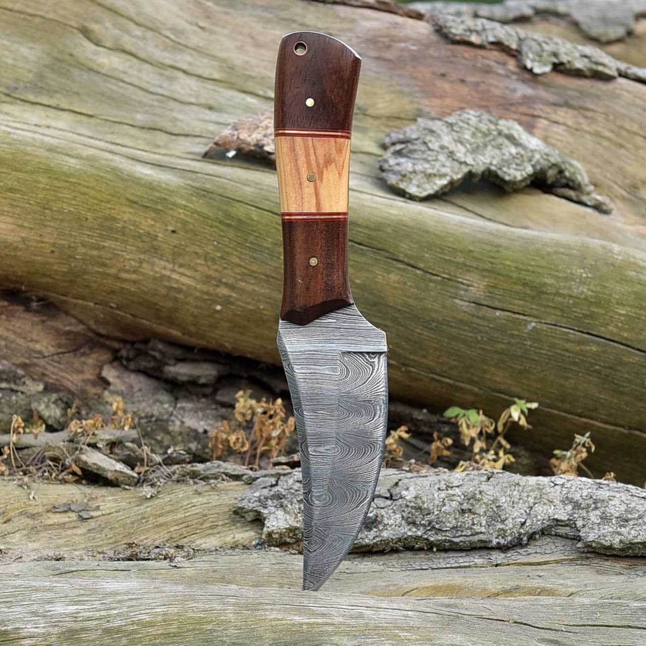 Premium Handmade Damascus Steel Hunting Knife - 8 Inch Fixed Blade with Leather Sheath - G-038 (Wood & Olive Handle) - Perfect for Outdoor Adventures, Camping, Hunting and Survival Gear