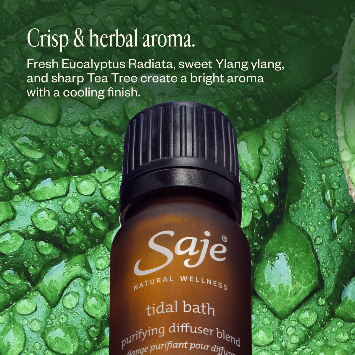 Aroma Om Stone & Summer's In - Premium Essential Oil Diffuser for Home, Yoga & Meditation | Relaxing Aromatherapy for Stress Relief & Better Sleep