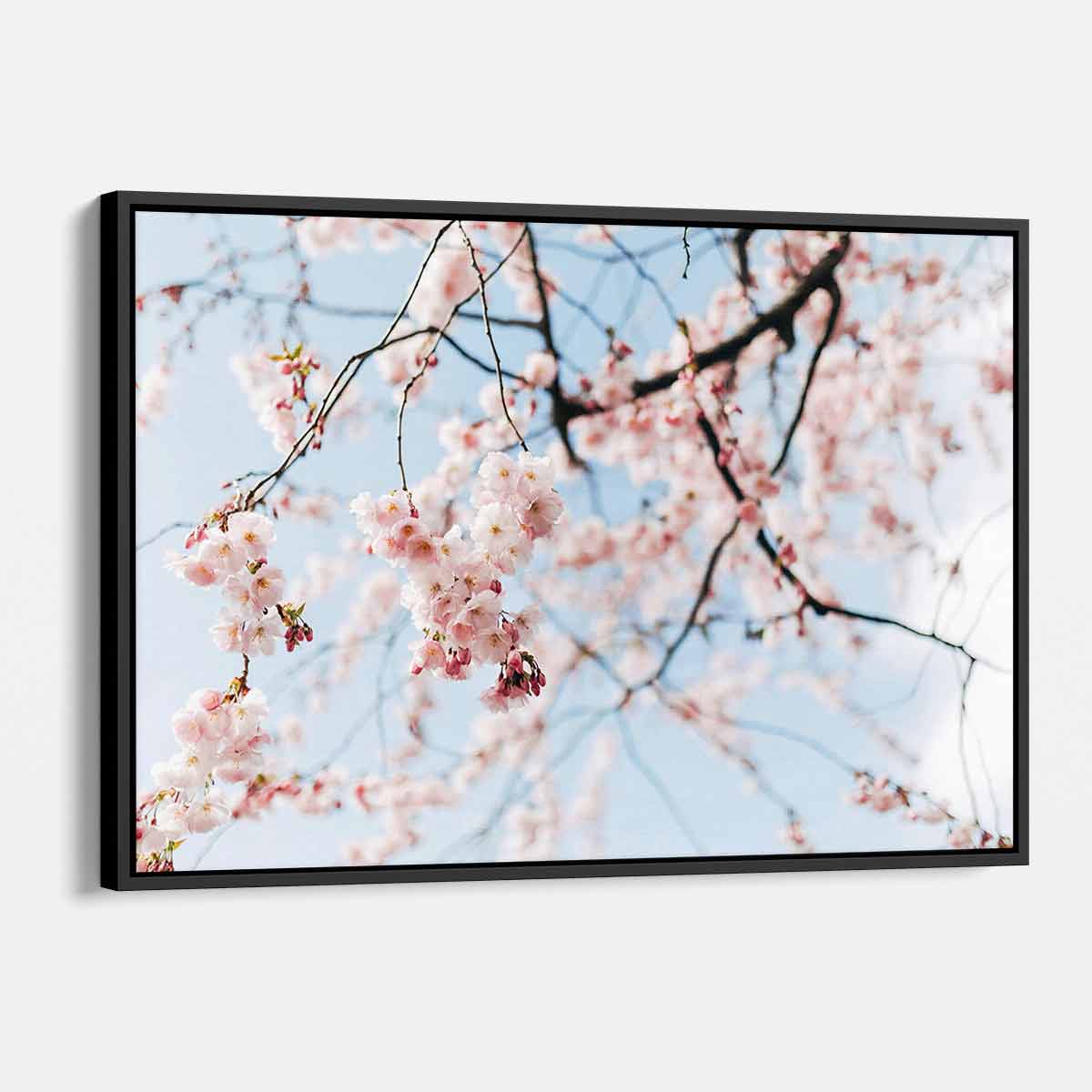 Pink Cherry Blossom Wall Art Canvas Print 28x18 Inches - Floral Home Decor for Living Room, Bedroom & Office