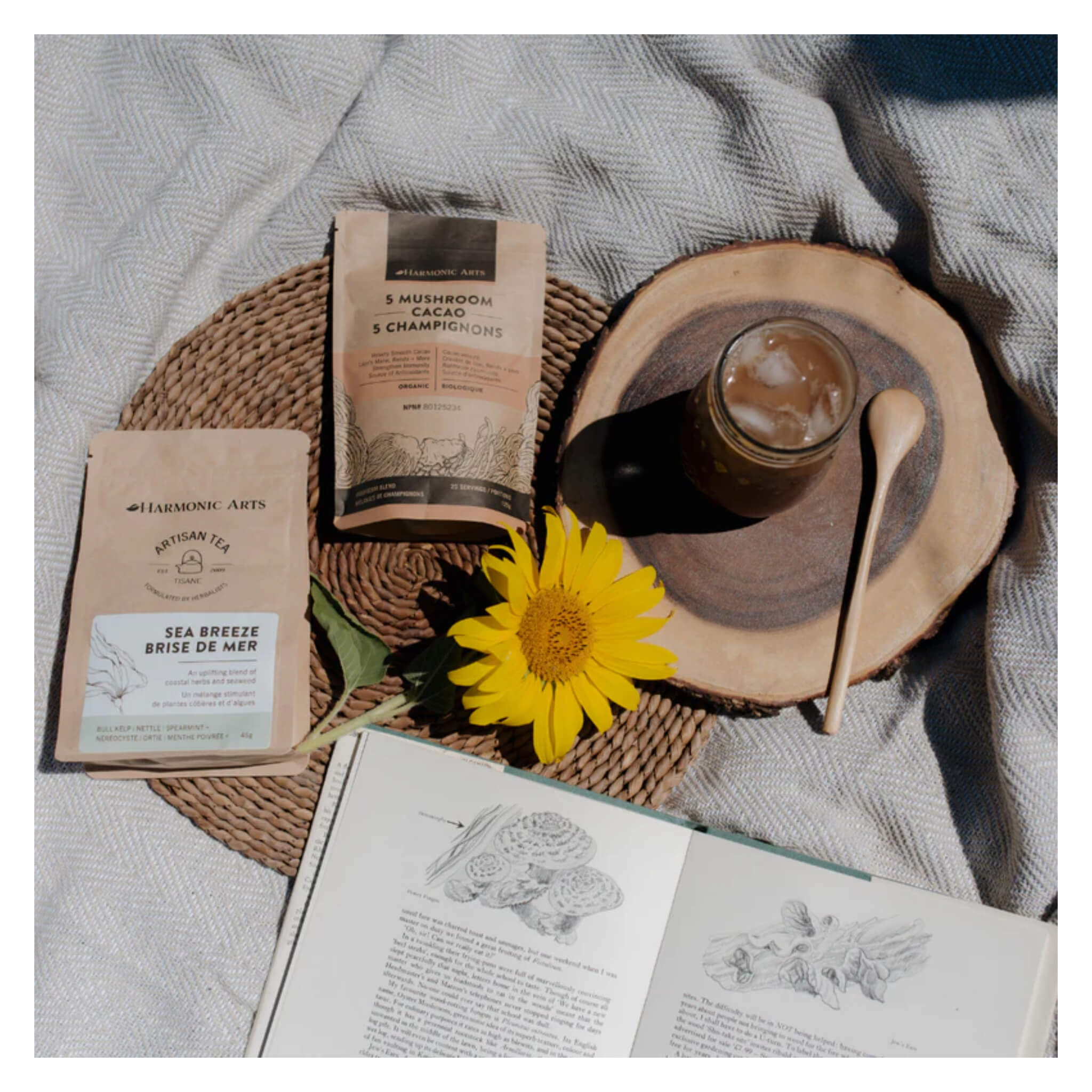 Organic 5 Mushroom Cacao Herbal Latte Mix - Reishi, Chaga, Cordyceps, Lion's Mane & Turkey Tail - Immune Support & Focus Booster - Perfect for Morning Energy or Afternoon Pick-Me-Up