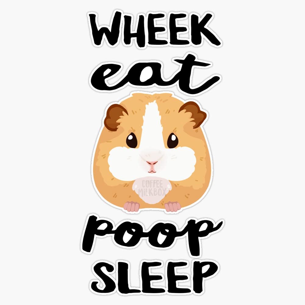 Funny Guinea Pig Car Magnet - 'Eat, Wheek, Poop, Sleep' Vinyl Bumper Sticker - Flexible Reusable Magnetic Decal for Cars, Fridges & Metal Surfaces - Perfect for Pet Lovers & Guinea Pig Owners