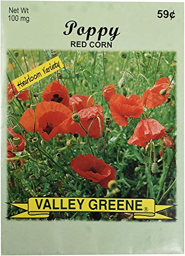 Poppy - Red Corn