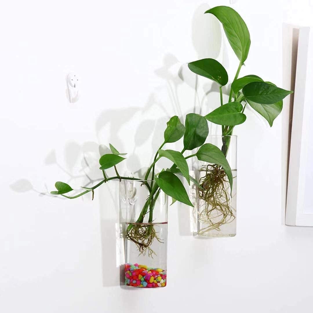 Kingbuy Glass Wall Hanging Planter - 2 Cone & 2 Cylinder Terrarium Set for Plant Propagation | Indoor Home Decor for Succulents, Air Plants & Herb Gardens