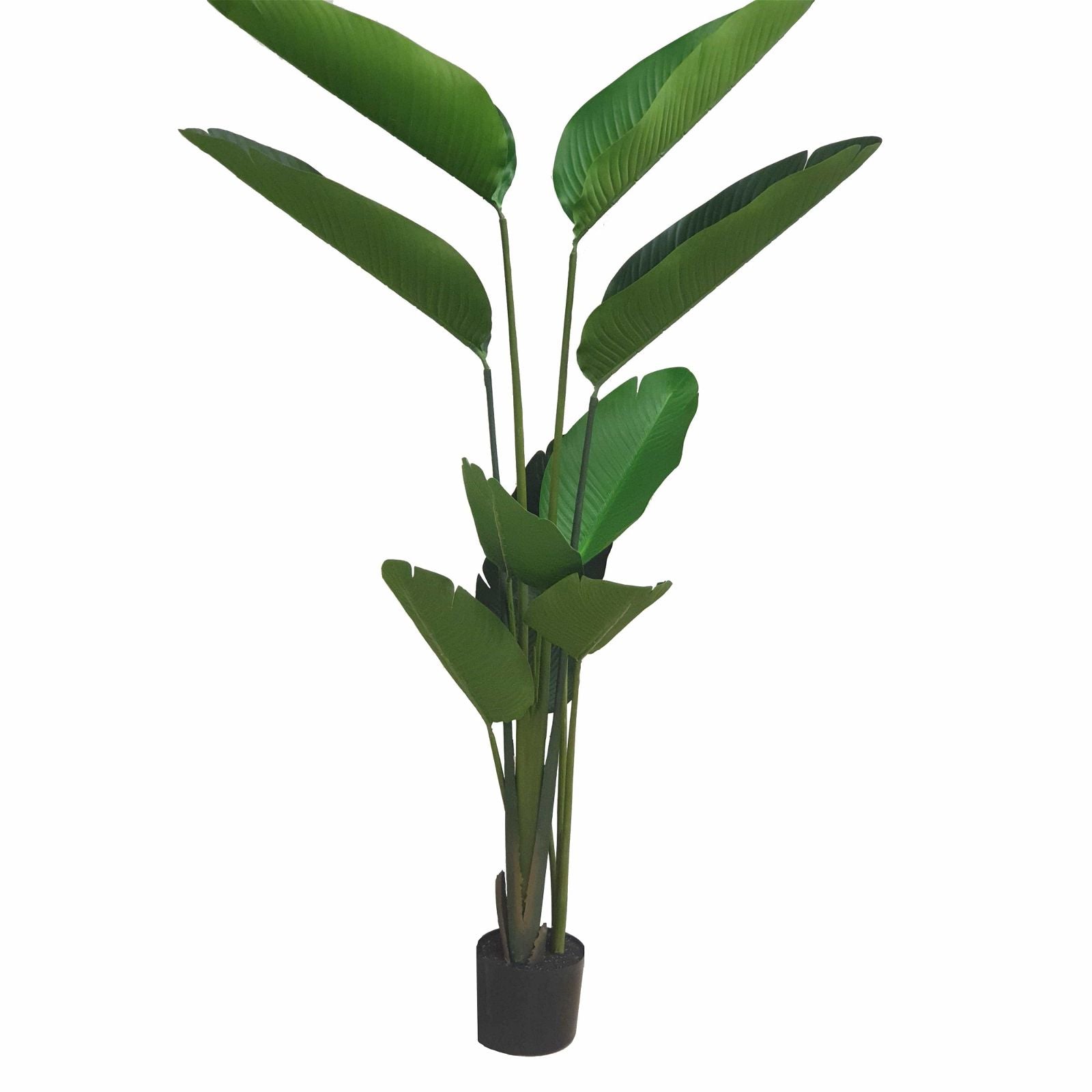 150cm Artificial Banana Palm Plant by Criterion - Perfect for Home Decor, Office Spaces & Tropical Themed Parties