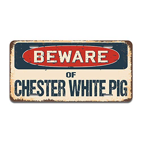 Beware of Chester White Pig