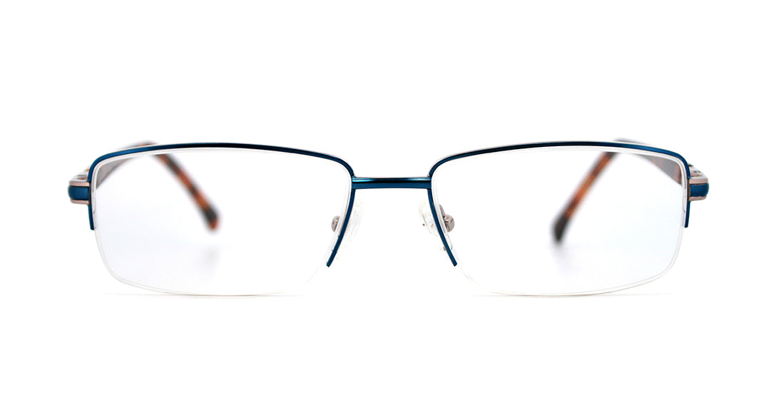 Blue/ Tortoise