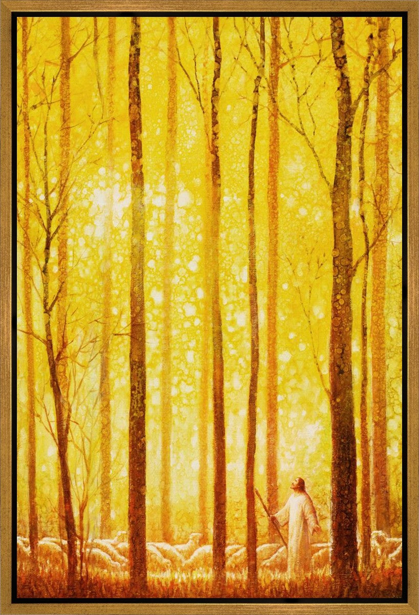 Premium Wonder Gallery Wrap Canvas - High-Quality Wall Art for Home & Office Decor - Perfect for Living Rooms, Bedrooms & Gifts