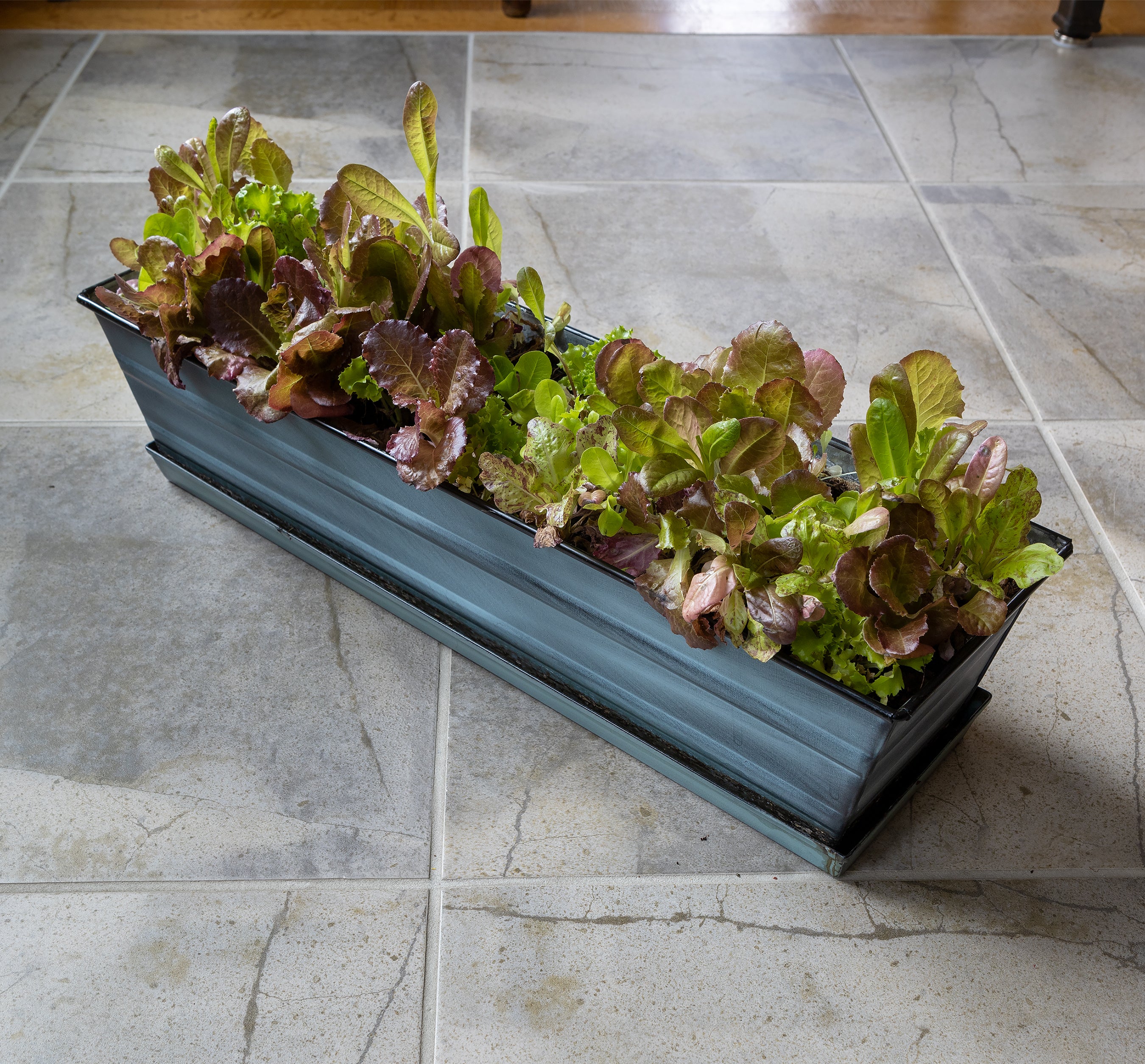 Achla Designs Flower Box Tray - Decorative Wooden Planter Box for Indoor Plants, Succulents & Home Décor | Perfect for Windowsills, Tabletops & Garden Displays