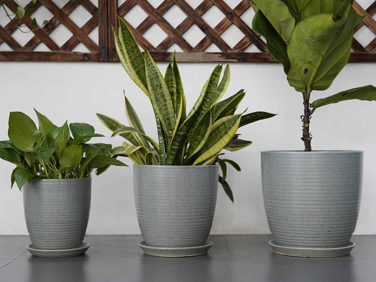 12 Inch Ceramic Plant Pot with Drainage Hole & Saucer - Large Round Indoor Flower Planter for Houseplants, Succulents, Herbs - Light Gray Home & Garden Decor for Living Room, Balcony, Office