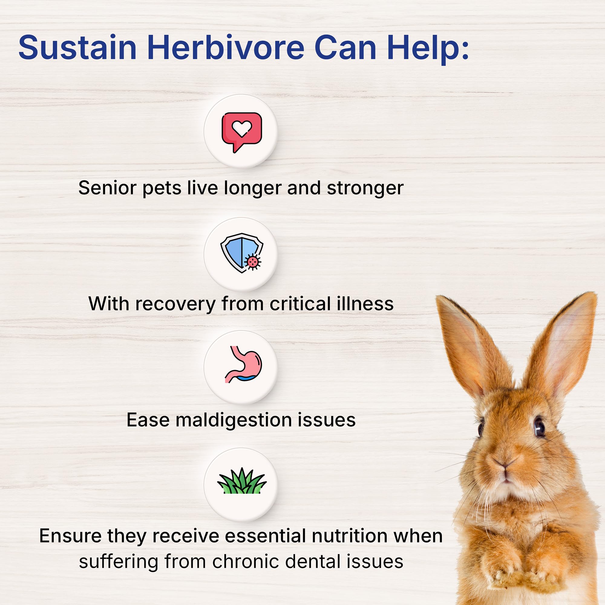 Organic Sustain Herbivore Mint Toothpaste (400g) – Natural & Fluoride-Free for Sensitive Teeth, Fresh Breath & Gum Care – Ideal for Eco-Conscious Families & Vegan Lifestyles