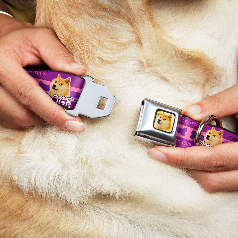 Buckle-Down Seatbelt Buckle Dog Collar - DOGE Pose, Bones & 9 Fun Quote Designs in Purple/Pink - 1 Inch Wide - Adjustable for 11-17 Inch Neck (Medium) - Durable Pet Collar for Small to Medium Dogs - Perfect for Daily Walks, Training & Costume Accessories