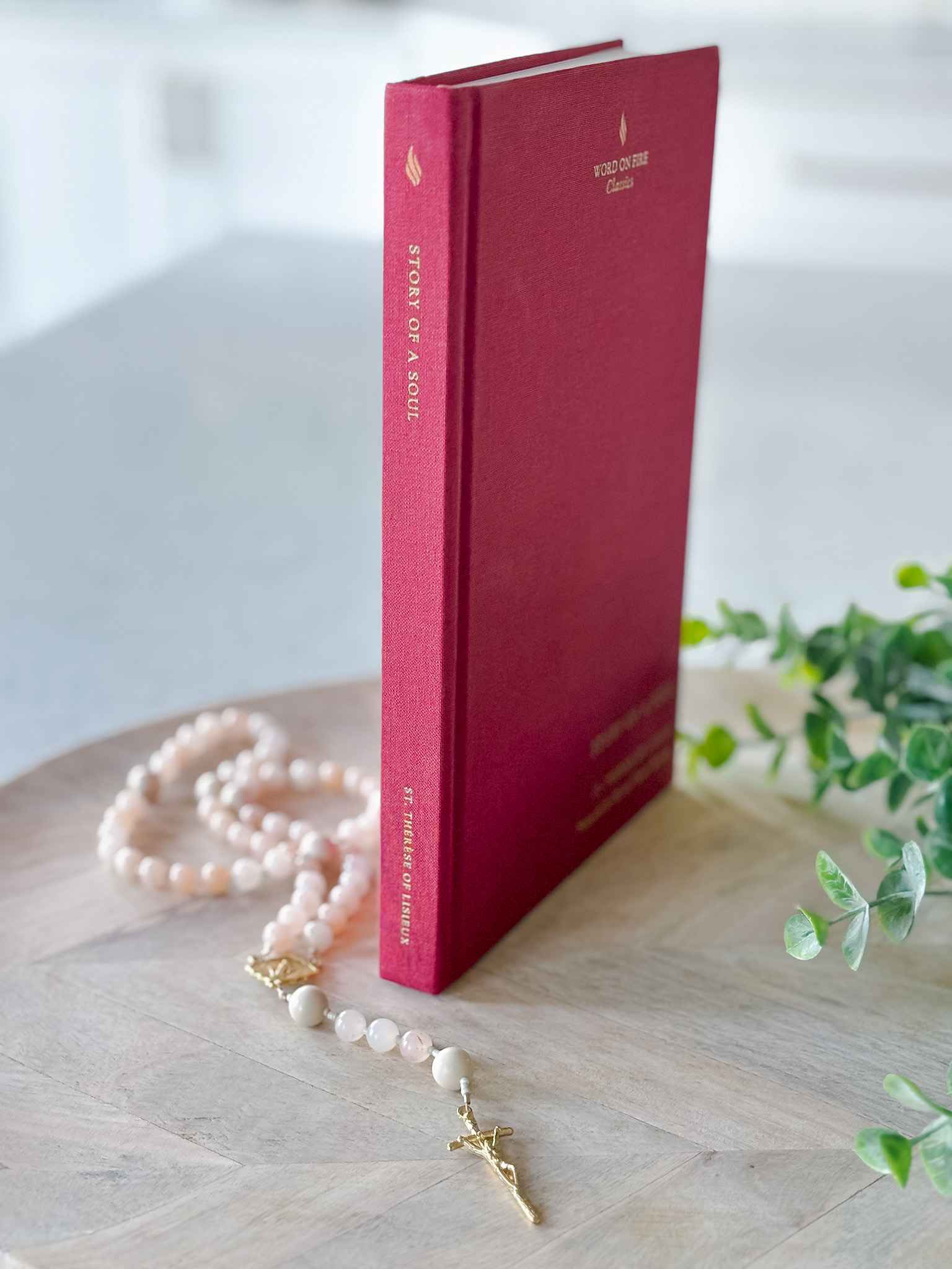 Story of a Soul Book 1 - Inspirational Spiritual Reading for Personal Growth & Meditation | Perfect for Daily Devotion & Book Club Discussions