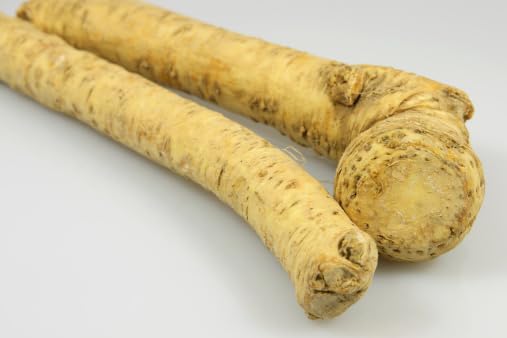 Premium Fresh Horseradish Root - 10 lb Bulk Case | Gourmet Cooking Ingredient for Chefs & Culinary Enthusiasts | Perfect for Sauces, Cocktails & Roast Beef