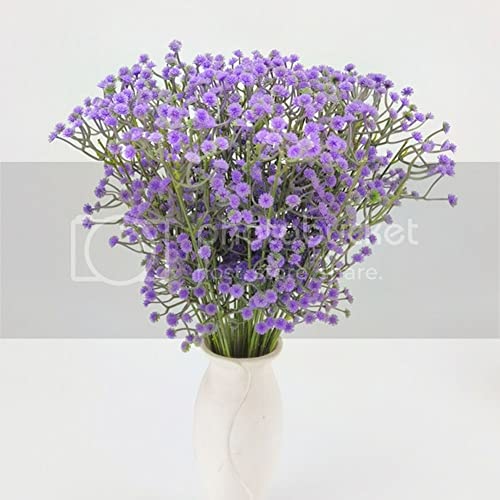 Babybreath-purple